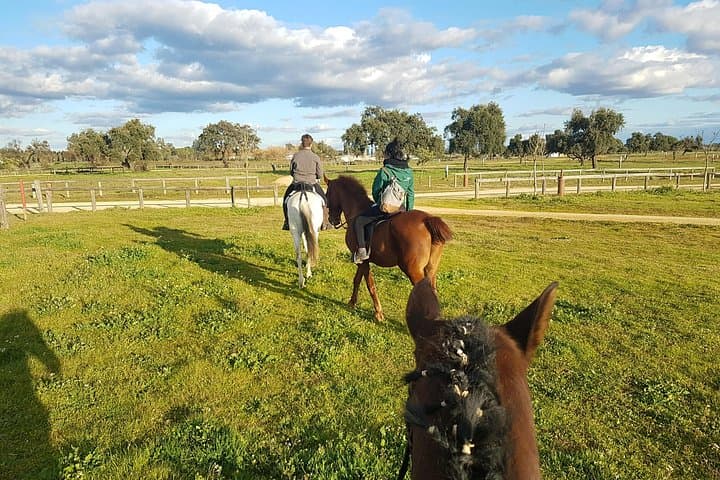 Horseback Riding from Madrid to Manzanares el Real — 2‑Hour Equestrian Farm Ride photo 4