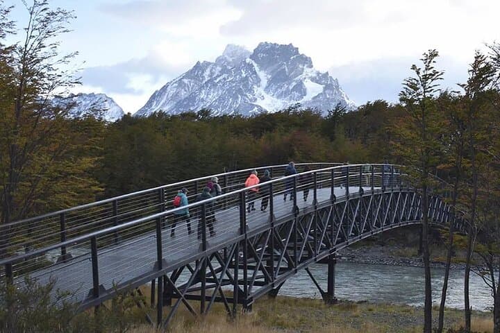 Full-Day Torres del Paine Private Tour — Pehoé, Grey Glacier & Milodón Cave photo 5