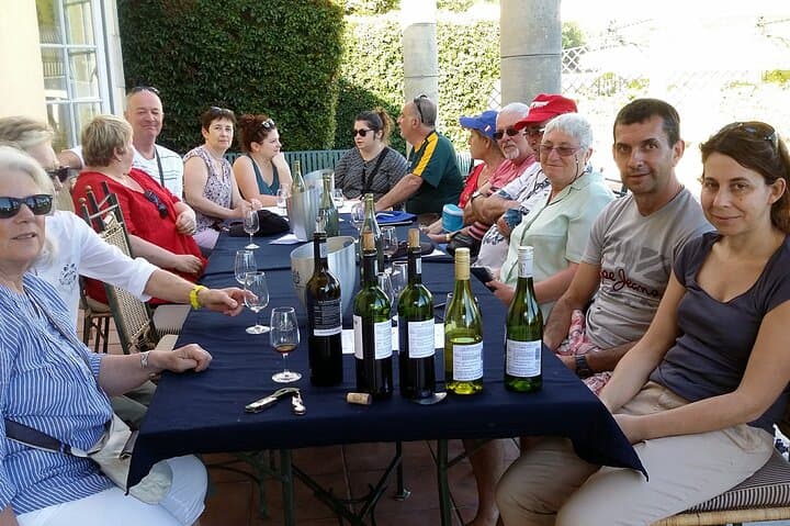 Private Wine Tasting and South African Culture History Tour in Stellenbosch and Cape Winelands