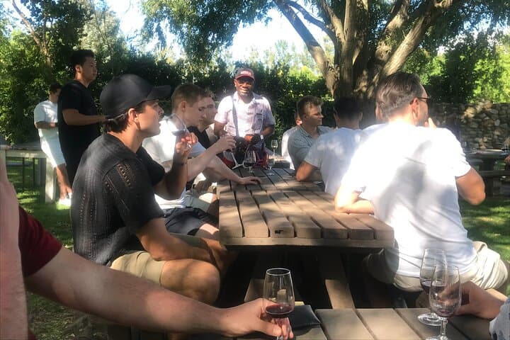 Private Wine Tasting and South African Culture History Tour in Stellenbosch and Cape Winelands photo 4