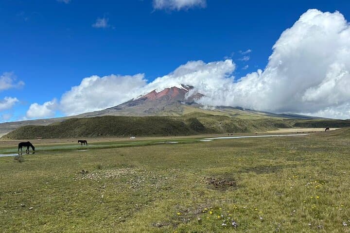 Full-Day Cotopaxi Volcano Hike from Quito: José Rivas Refuge & Limpiopungo photo 5