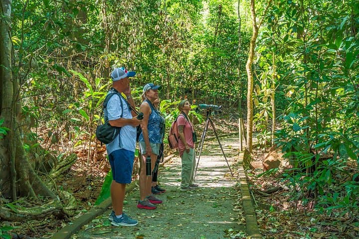 Wildlife-Rich Hike Through Carara National Park — Guided Tour from Jaco photo 1