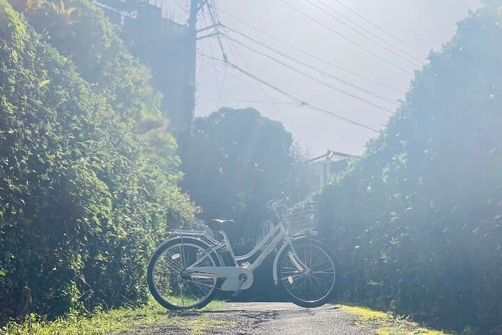 Cruise Naha by E-Bike: CityCycle Rental in Okinawa photo 2