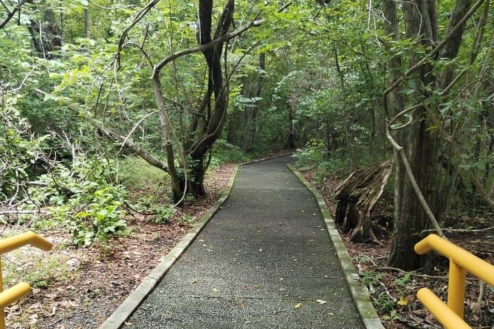 Santa Rosa National Park: Half-Day Nature & Casona History Walk from Liberia photo 3