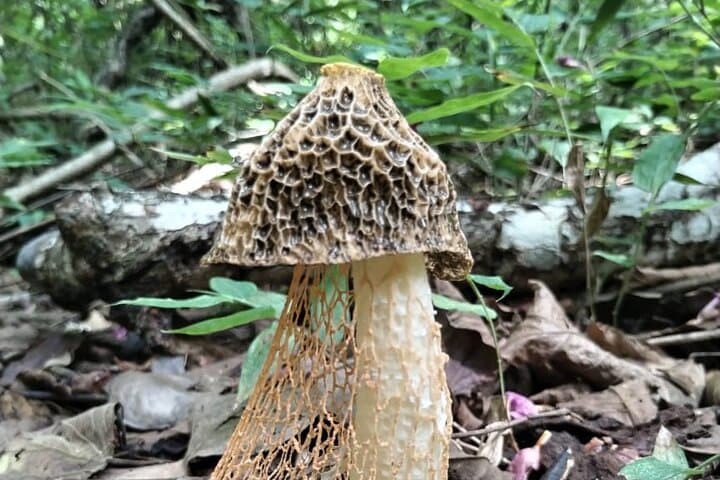 Santa Rosa National Park: Half-Day Nature & Casona History Walk from Liberia photo 4