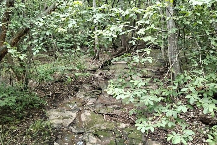 Santa Rosa National Park: Half-Day Nature & Casona History Walk from Liberia photo 5