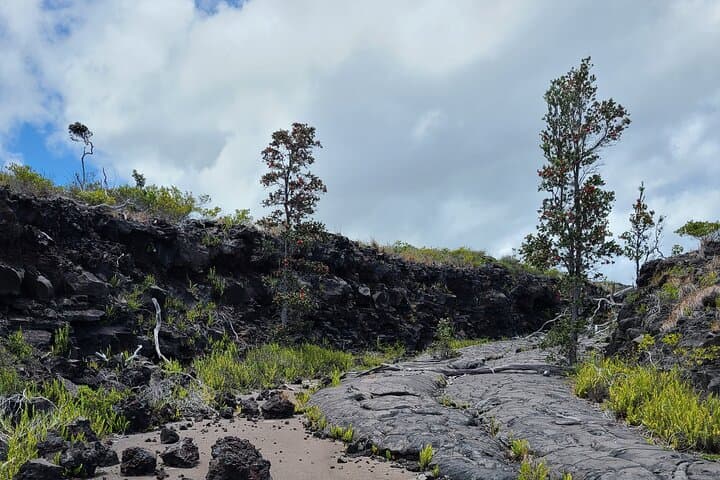 Private Volcanoes National Park Tour from Hilo — Custom 5–6 Hour Adventure photo 5