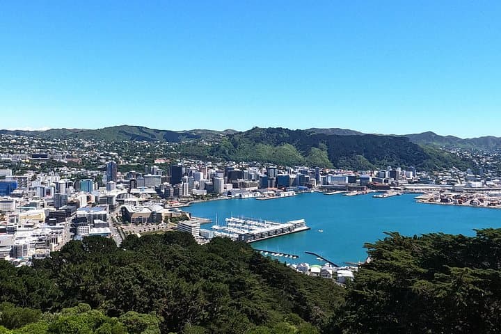 Explore Wellington's Original LOTR Locations: Weta Workshop, Kaitoke & Mt Victoria Tour photo 3