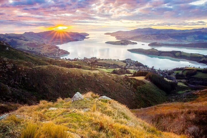 Christchurch City Highlights Half-Day: Gardens, Panoramas & Kiwi Encounters photo 1