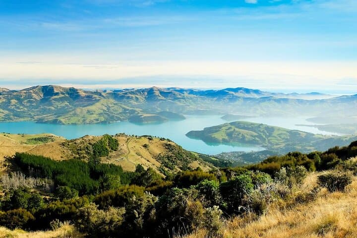 Christchurch City Highlights Half-Day: Gardens, Panoramas & Kiwi Encounters photo 4