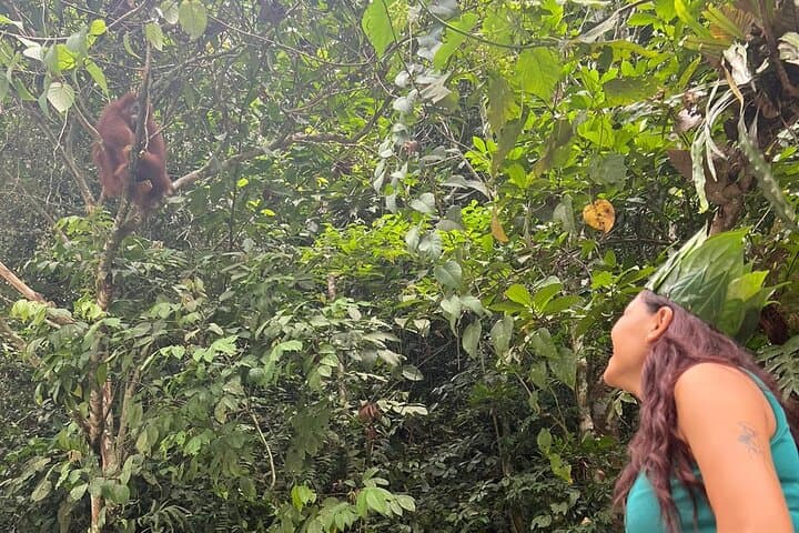 3-Day Sumatra Orangutan Jungle Trek with Bohorok River Rafting photo 4