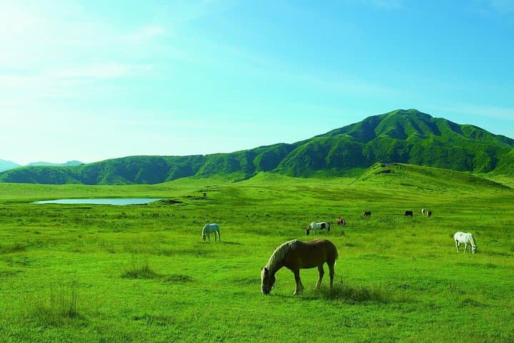 Takachiho Gorge & Mt. Aso Day Trip — Boat Ride, Springs & Volcano Views photo 2
