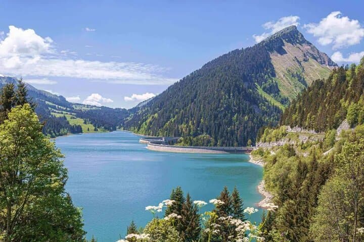 Scenic Swiss Alps Drive: Aare Gorge, Grimsel & Furka Pass from Basel photo 4