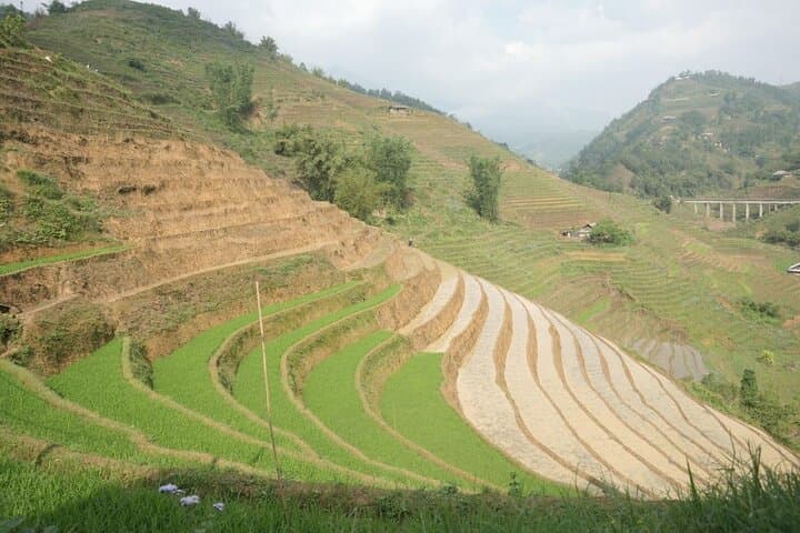Sapa Half-Day Hard Trek: Hmong Villages, Rice Terraces & Waterfall photo 2