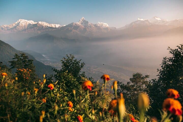 Sarangkot Sunrise & Annapurna Panorama: Long Day Hike from Pokhara photo 4