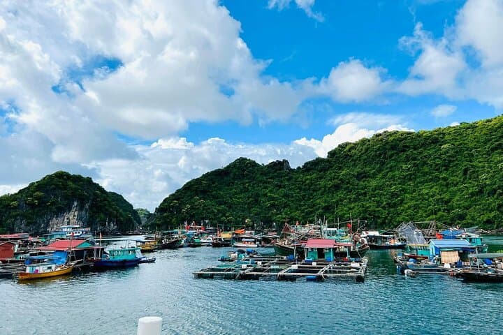 Lan Ha Bay Sunset Escape from Cat Ba — Luxury Cruise with Kayaking & Jacuzzi photo 5