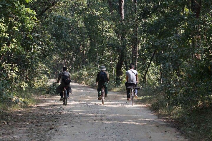 20 Thousand Lake Cycling Tour — Chitwan National Park Day Ride photo 5