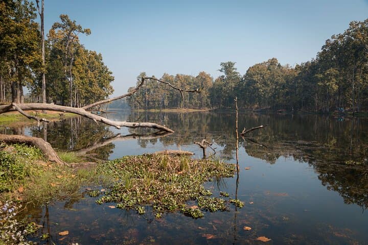 20 Thousand Lake Cycling Tour — Chitwan National Park Day Ride photo 2