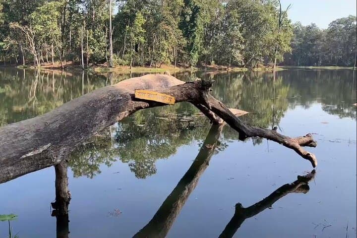 20 Thousand Lake Cycling Tour — Chitwan National Park Day Ride photo 4