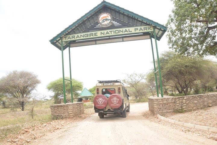 6-Day Ngorongoro & Serengeti Great Migration Safari: Big Five, River Crossings, and Crater Wildlife photo 2