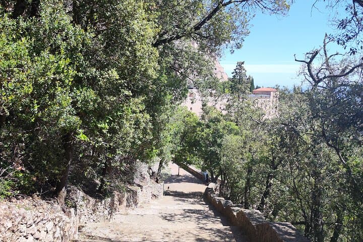Early Morning Montserrat: Skip-the-Crowds Half-Day from Barcelona photo 6