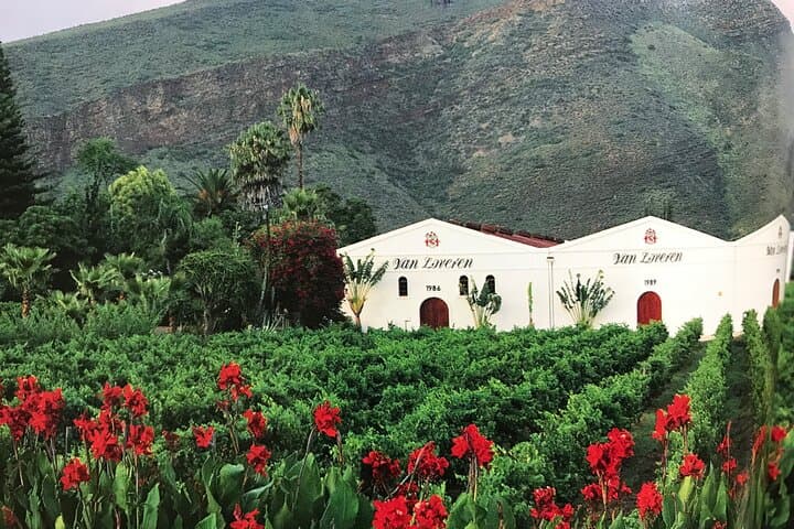 Private Wine Tasting and South African Culture History Tour in Stellenbosch and Cape Winelands photo 6