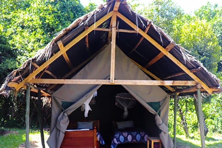 Budget 3-Day Masai Mara Safari: Group-Joining Game Drives & Great Migration photo 5