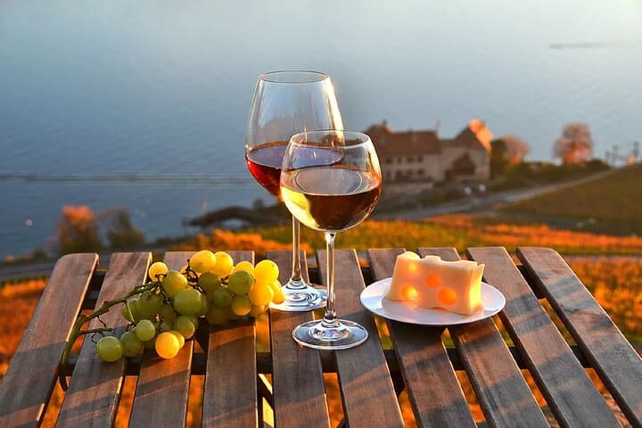Lausanne Culinary Boat Trip & Yvorne Vineyard Visit — Lake Geneva Gourmet Cruise from Zurich