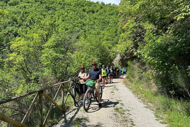 E‑Bike the Umbrian Valley: Bevagna, Spello & Extra‑Virgin Olive Oil Tasting photo 4