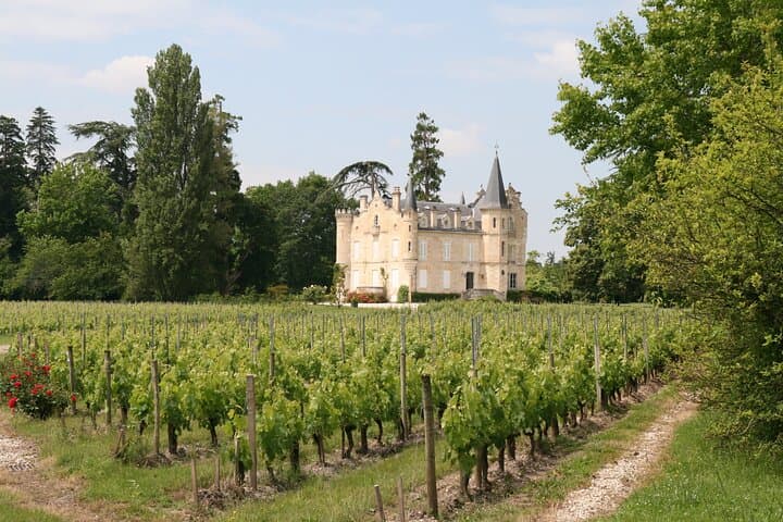 Graves to Sauternes: Private Full-Day Bordeaux Wine Tour photo 2