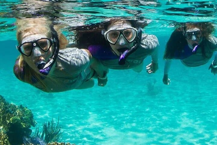 Pompano Beach Guided Reef Snorkel: Private Beach Access & Marine Life