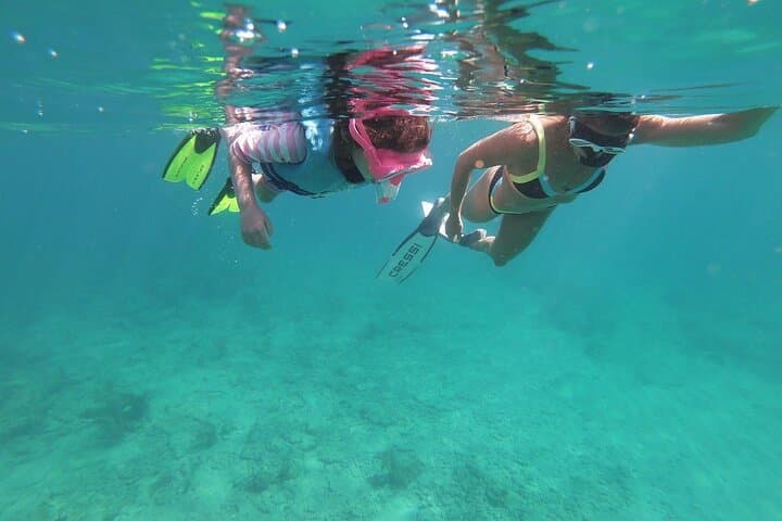 Pompano Beach Guided Reef Snorkel: Private Beach Access & Marine Life photo 4