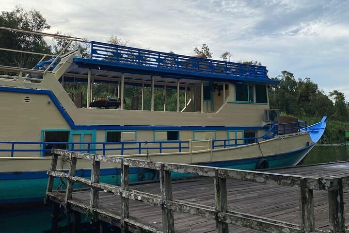 4-Day Orangutan Cabin Boat Adventure in Tanjung Puting National Park photo 6