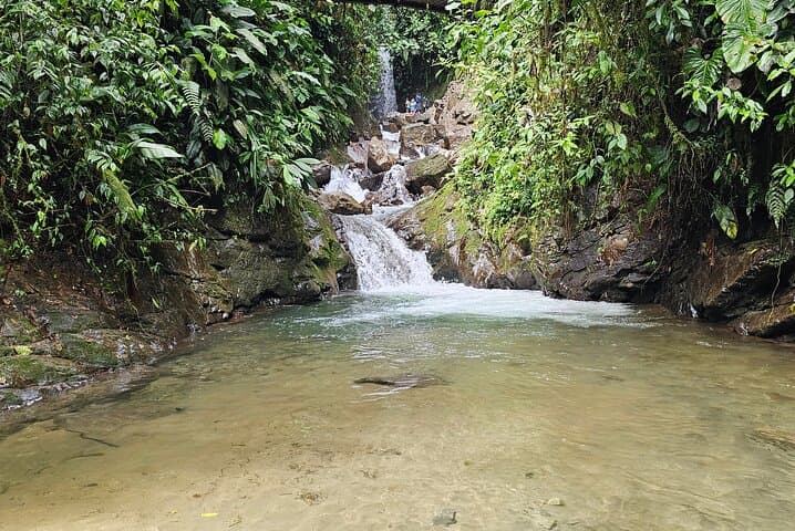 Mindo Cloud Forest Adventure — Birds, Waterfalls & Chocolate Tours Near Quito photo 4
