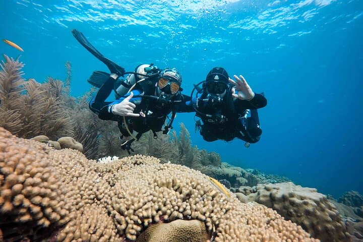 Discover Scuba Diving in Bonaire's Diver's Paradise