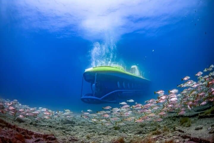 Puerto de Mogán Submarine Adventure: La Atlántida Reef & Wreck Excursion