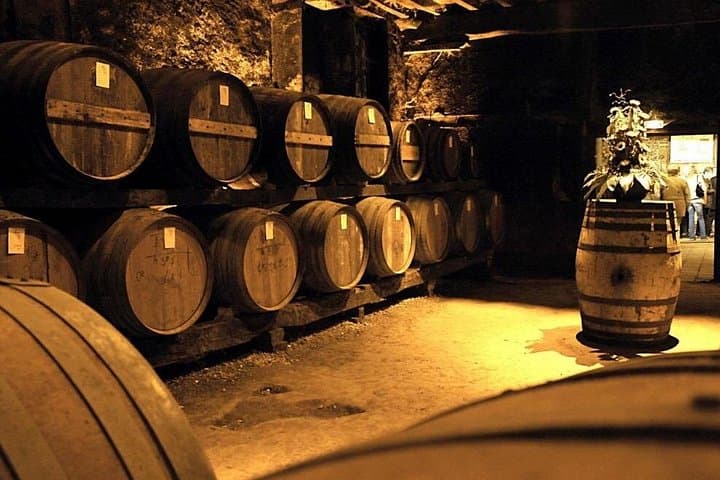 Bordeaux to Armagnac Day Trip: Private Tastings & Historic Villages photo 3