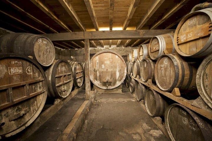Bordeaux to Armagnac Day Trip: Private Tastings & Historic Villages photo 4