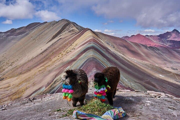 Vinicunca Rainbow Mountain Full-Day Guided Trek from Cusco photo 6