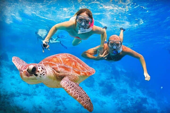 Tulum Turtle Encounter: Private Snorkel Tour with Tulum Ruins & Turtle Swim