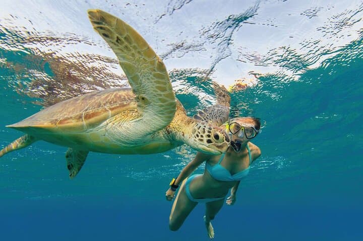 Tulum Turtle Encounter: Private Snorkel Tour with Tulum Ruins & Turtle Swim photo 5