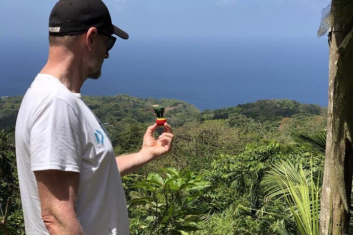 Private 3-Hour Tobago Rainforest Walk with Hummingbird Feeding and Local Lunch photo 2