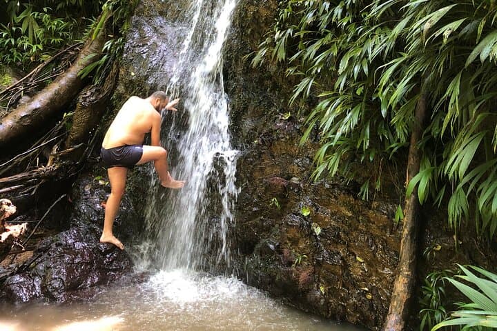 Private 3-Hour Tobago Rainforest Walk with Hummingbird Feeding and Local Lunch photo 3