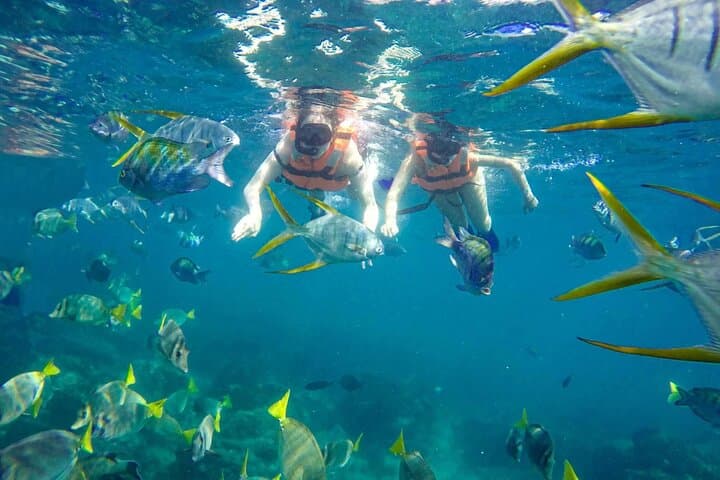 Snorkel the Arch at Land's End: Cabo San Lucas El Arco & Pelican Rock Boat Tour photo 2