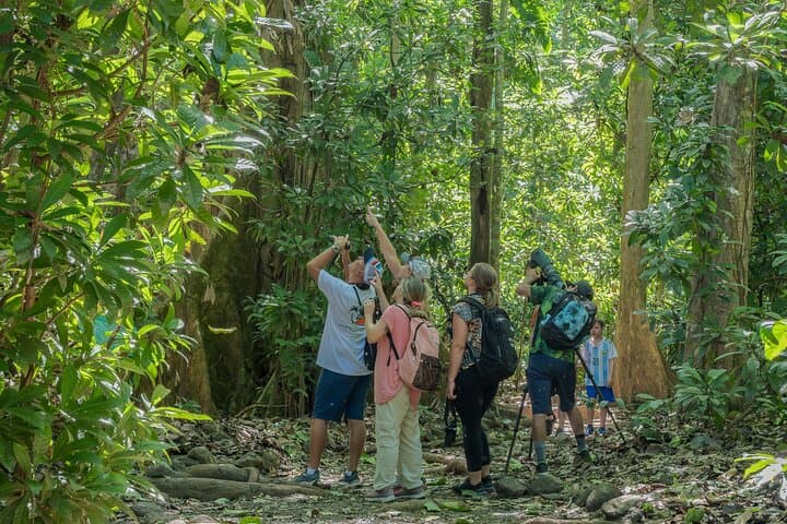 Wildlife-Rich Hike Through Carara National Park — Guided Tour from Jaco photo 2