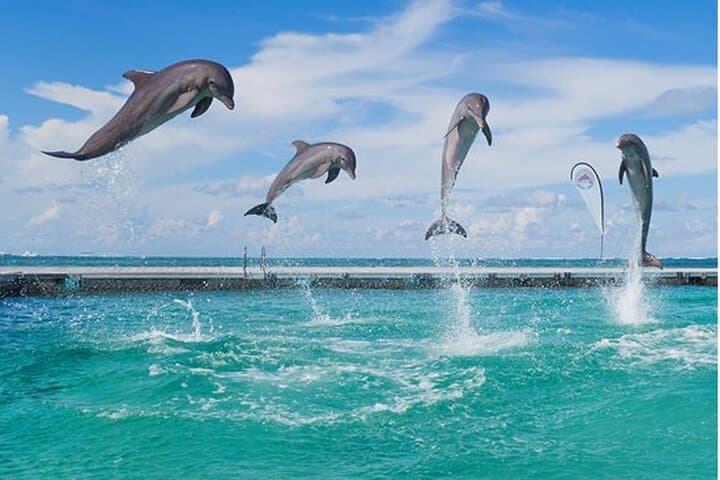Set Sail for Fun: Private Party Boat Adventure in Punta Cana photo 6