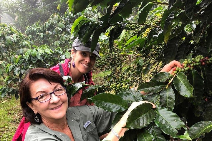 Uvita Coffee Tour: Hands-On Visit to the Fallas Family Coffee Farm