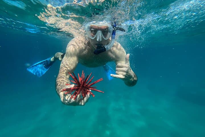 Private Morning Snorkel on Maui: Beach Set-Up, Snacks & Guided Marine Encounters photo 4