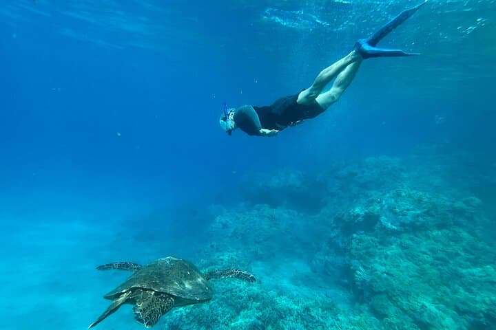Private Morning Snorkel on Maui: Beach Set-Up, Snacks & Guided Marine Encounters photo 5