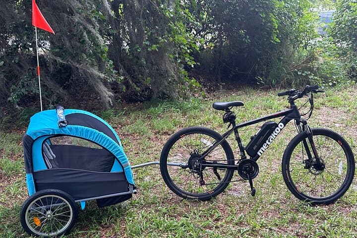 Kissimmee Lakefront E‑Bike Tour with 2‑Child Trailer — 2‑Hour Family Ride